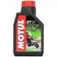 Motorolaj Scooter Expert 2T