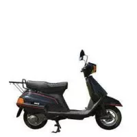 Yamaha BELUGA