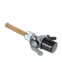Benzincsap