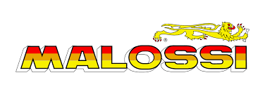 Malossi robogó alkatrészek
